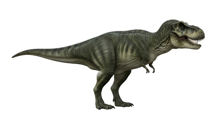 Fototapeta premium Majestic Tyrannosaurus Rex isolated, prehistoric powerful carnivore dinosaur concept 3D rendering Tyrant Lizard king, dinosaur age isolated species