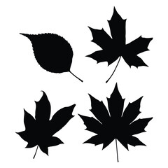  Autumn Black Leaves Silhouette Vector Icon Set, Maple and Oak Nature Elements