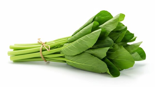 Fresh Bok Choy Bundle: Crisp Green Vegetable