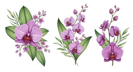Plakat Watercolor painting of three purple orchid bouquets isolated on white background