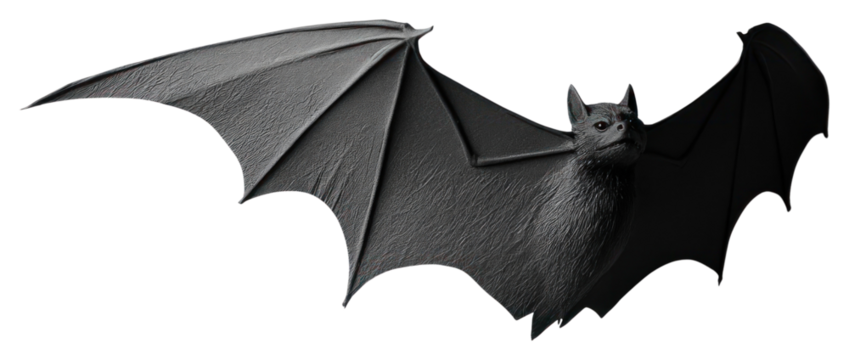 PNG Bat silhouette decoration realistic halloween. - Powered by Adobe