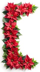 Festive arrangement of vibrant red poinsettias and green leaves on white backdrop