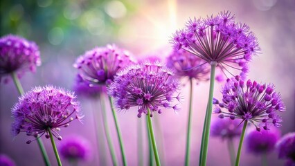 Fototapeta premium Vibrant Purple Blooms in a Serene Garden Setting, Bathed in Soft Sunlight