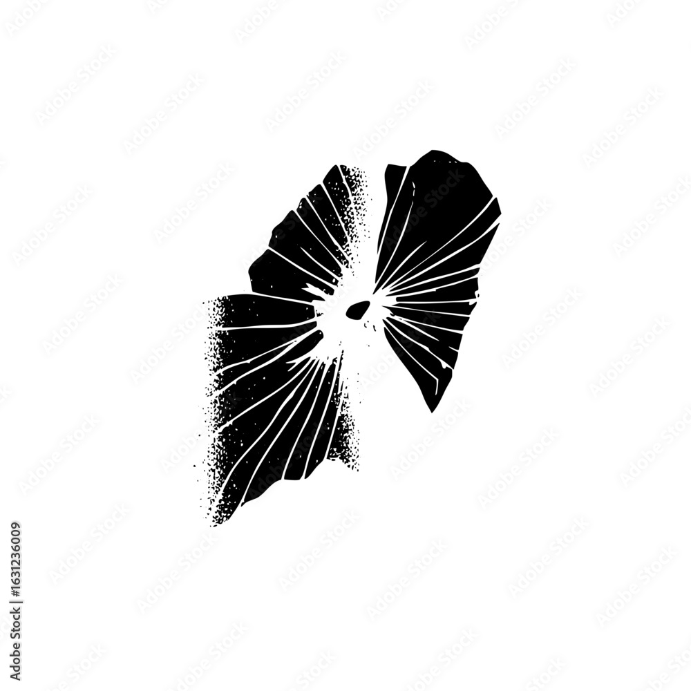 Poster vector abstract shattered shape with radiating lines.
