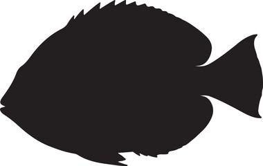 Elephant with raised trunk in silhouette image white backgrpound.