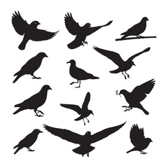 Fototapeta premium Diverse Collection of Black Bird Silhouettes in Various Poses birds flying