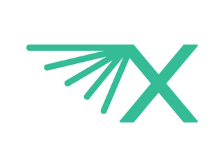 Abstract consulting logo with interconnected lines forming a dynamic network symbol, representing collaboration, innovation, and strategic thinking. Perfect for tech-focused business advisors x