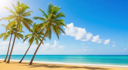 Fototapeta premium Tropical beach paradise with palm trees and turquoise water scenery