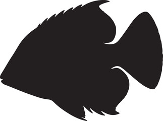  Algae eater fish in silhouette white background.