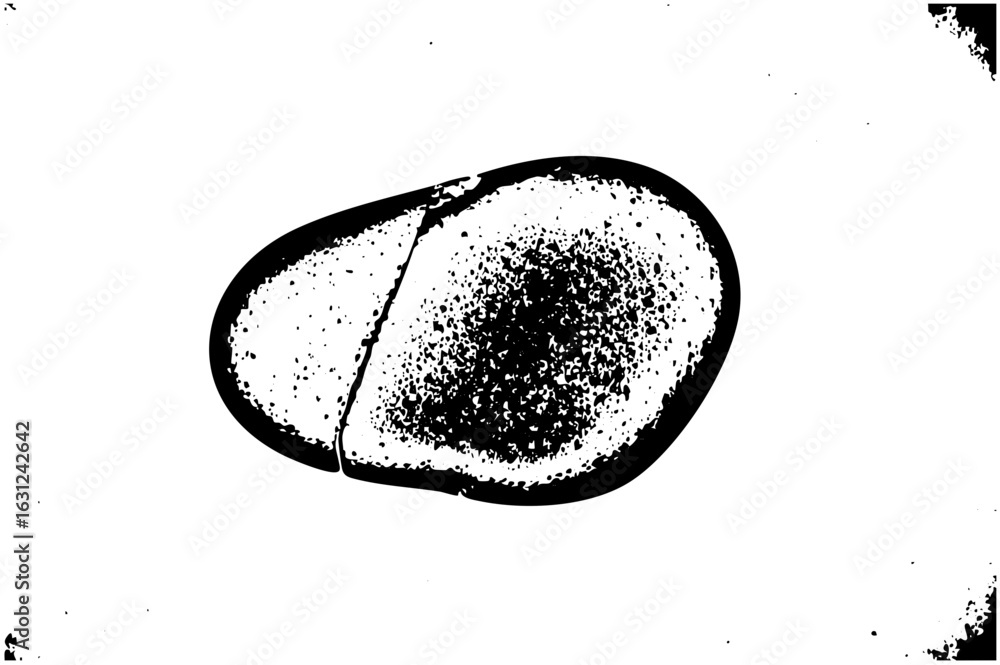 Poster vector abstract pebble stone with textured fill.