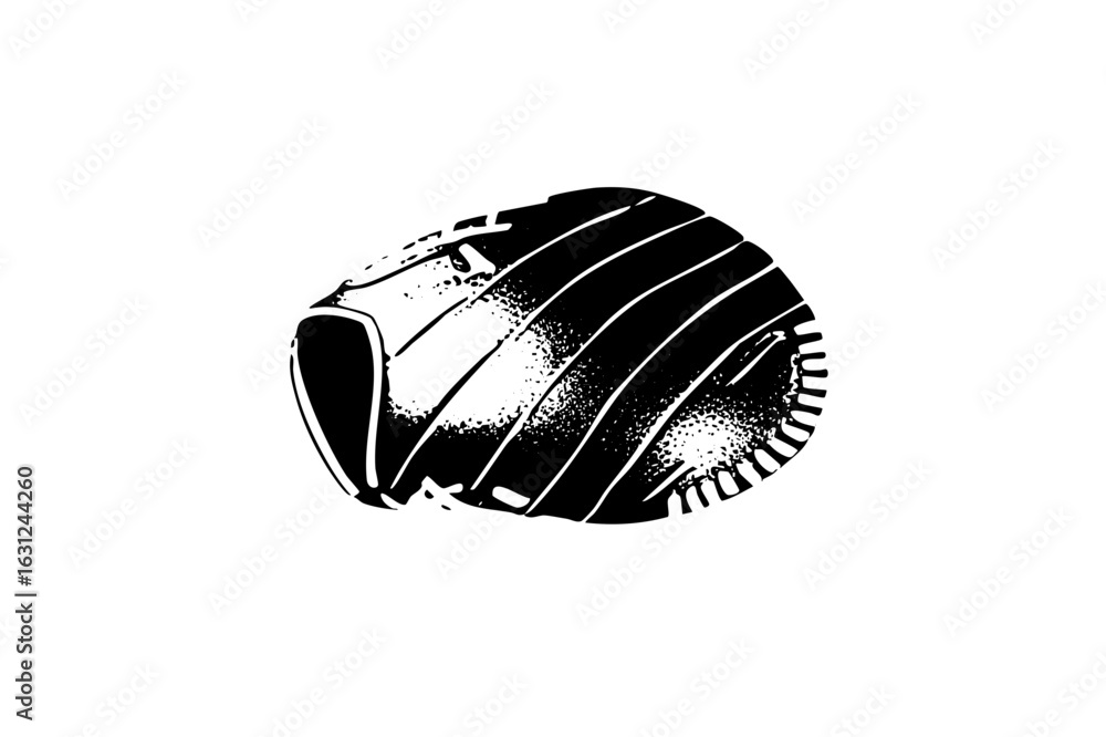 Poster vector detailed of a textured segmented seashell.