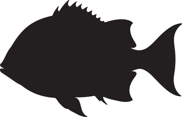 Banjo fish in silhouette white background.