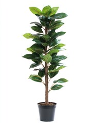 Tall, vibrant faux magnolia tree in a dark pot