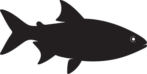 Barb fish in silhouette white background.