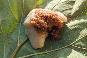 Authentic Asian Sweet Dumpling with Toasted Coconut on a Vibrant Green Leaf