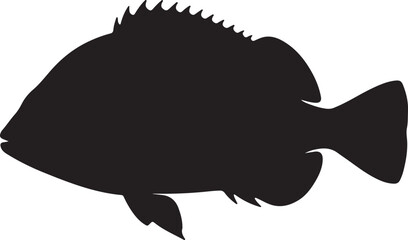  Basslet fish in silhouette white background.