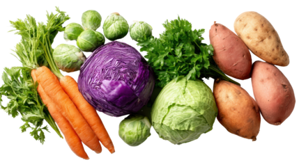 Colorful assortment of fresh vegetables including carrots, cabbage, and sweet potatoes on a white background.
