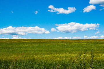 Obraz premium Minimalistic landscape of green farm field against blue sky with passing clouds