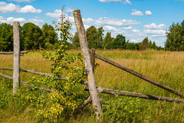 Leaning wooden fence posts in the middle of a field