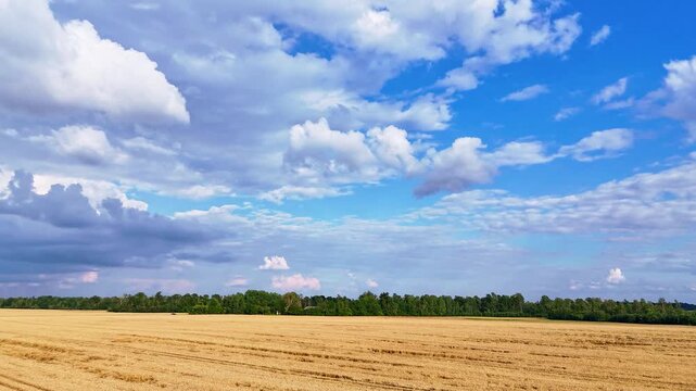 Timelapse of Drone Over Golden Wheat Fields and Country Road on a Sunny Summer Day with Rainbow in the Sky Peaceful Latvian Countryside Aerial View