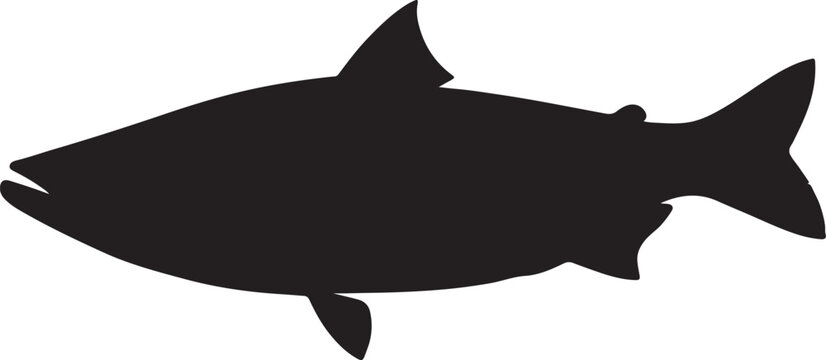 Bigscale fish in silhouette white background.