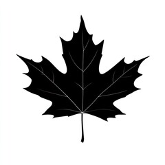 Obraz premium A solid black silhouette of a maple leaf