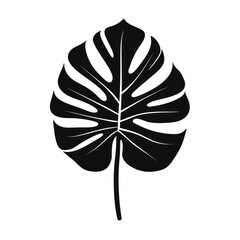 Silhouetted tropical leaf (1)