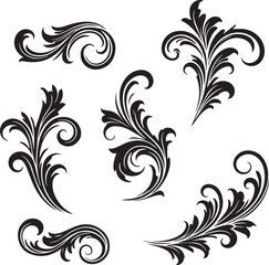 Fototapeta premium Collection of Black Flourish Swirls and Filigree Decorative Elements on White Background ornament