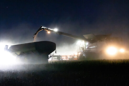 Harvester harvesting canola crop at night with chaser bin on farm