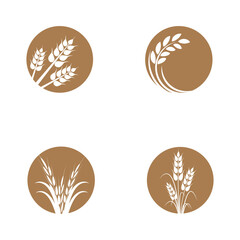 Stylized Wheat logo vector and symbol
