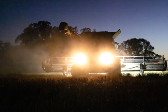 Combine harvester harvesting canola crop at night on farm from behind