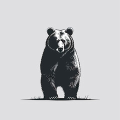Obraz premium silhouette of a bear