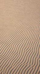Obraz premium Raked beige sand texture with sunlit wave patterns, top-down aerial capture for spa, travel, and lifestyle branding visuals