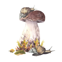 Snail on cap of porcini mushroom and moos. Fall arrangement with two slug animal and Boletus brown cap, fungi and autumn leaves. Watercolor realistic hand drawn illustration isolated from background