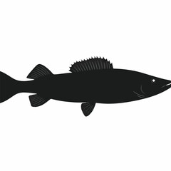 Garpike fish in silhouette white background.