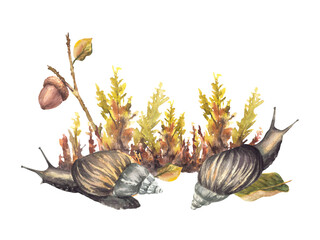 Watercolor Snail against Autumn moos with acorn, yellow green leaves. Fall forest arrangement with brown slug. Hand painted illustration nature scene realistic card, poster. Isolated from background