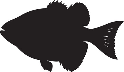 Ghost fish in silhouette white background.