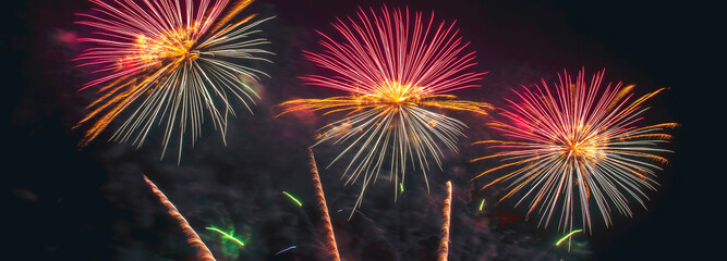 Banner Colorful vibrant Firework celebrate anniversary happy new year 2025, 4th of july national...