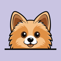 Obraz premium Pomeranian Peeking dog PNG