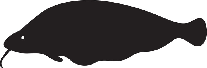 Glass knifefish white background.