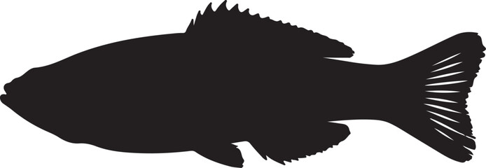Hairtail fish in silhouette white background.
