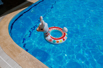 Inflatable llama shaped swimming ball floating in the pool. Cute llama shape.