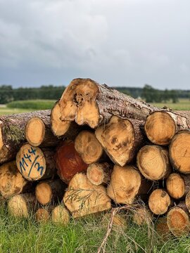 Rustikale Holzstapel in gr&uuml;ner Landschaft &ndash; Natur und Handwerk - Holzscheite, Brennholz, Forstwirtschaft, Naturtextur, l&auml;ndlich, nachhaltig, Landschaft, Wolkenhimmel, Holzstruktur, Baumst&auml;mme