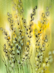 Pussy willow branches in warm watercolor background