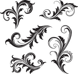 Fototapeta premium Set of five black decorative floral scrollwork and vine elements on a white background flourish swirl