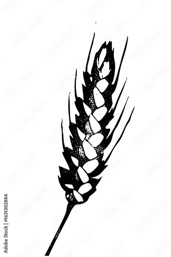 Poster vector detailed of a single grain head with textured kernels.