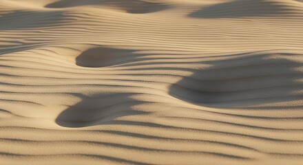 Desert Sand Abstract Texture