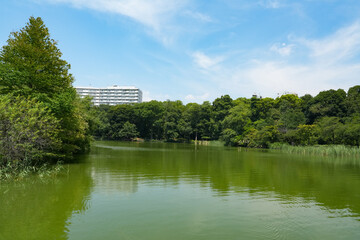 井之頭公園