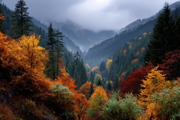 Fall mountain forest showcasing vibrant autumn colors with a misty mountain backdrop and lush foliage in varying shades of orange, red, and green during the changing seasons