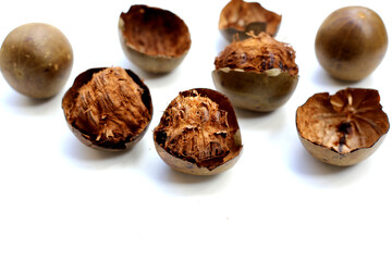 Luo Han Guo or Siraitia grosvenorii, Monk fruit